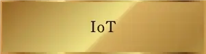 IoT