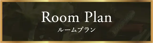Room Plan ルームプラン